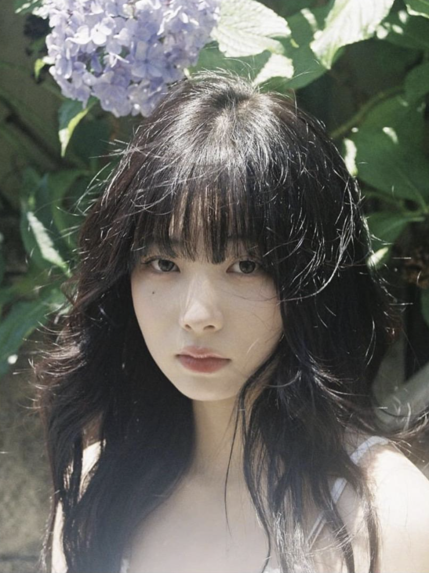 らん | インキュベーション 